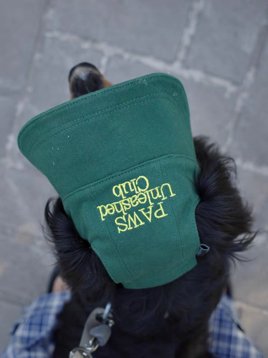 trendy soundnestpro dog baseball hat, uv‑proof pet headwear for summer adventures 