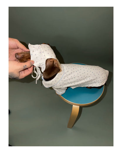 Star Print Pet Hat