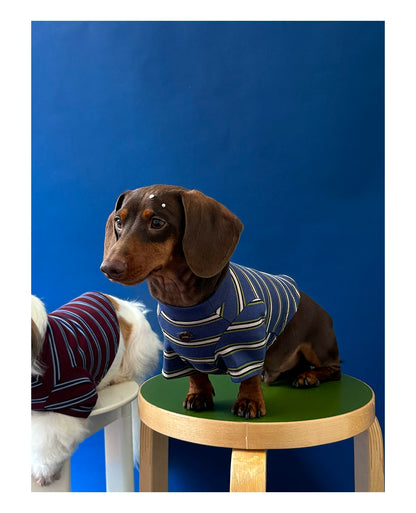 Retro Striped Pet T-shirt