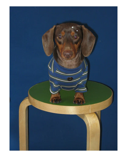 Retro Striped Pet T-shirt