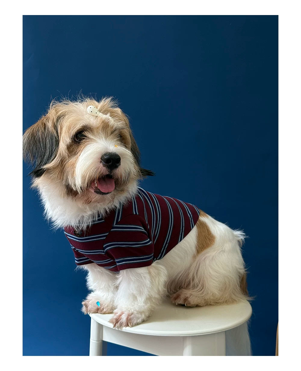 Retro Striped Pet T-shirt