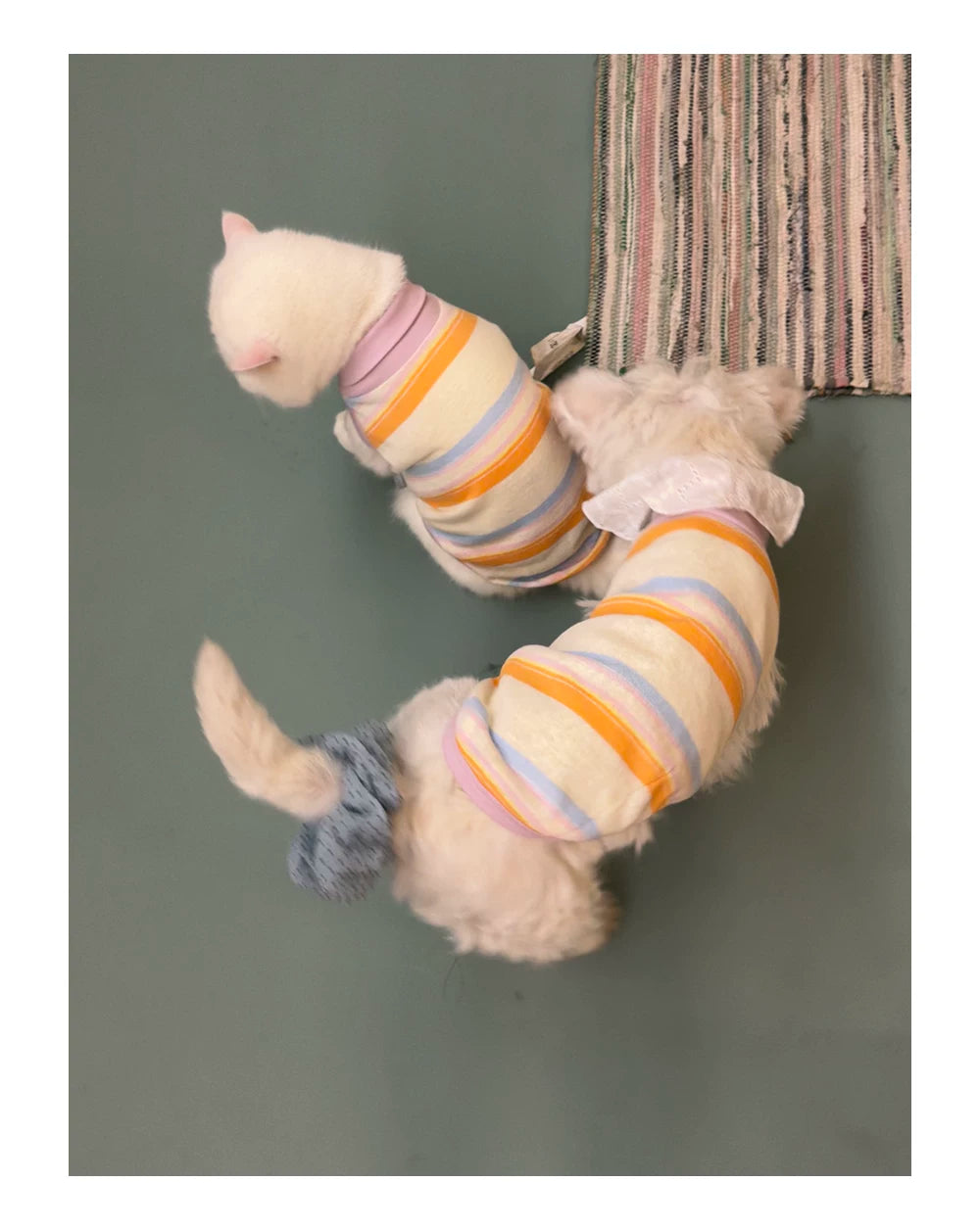 Colorful Striped Tank Top