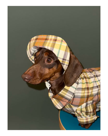 Vintage Plaid Pet Hat - Yellow