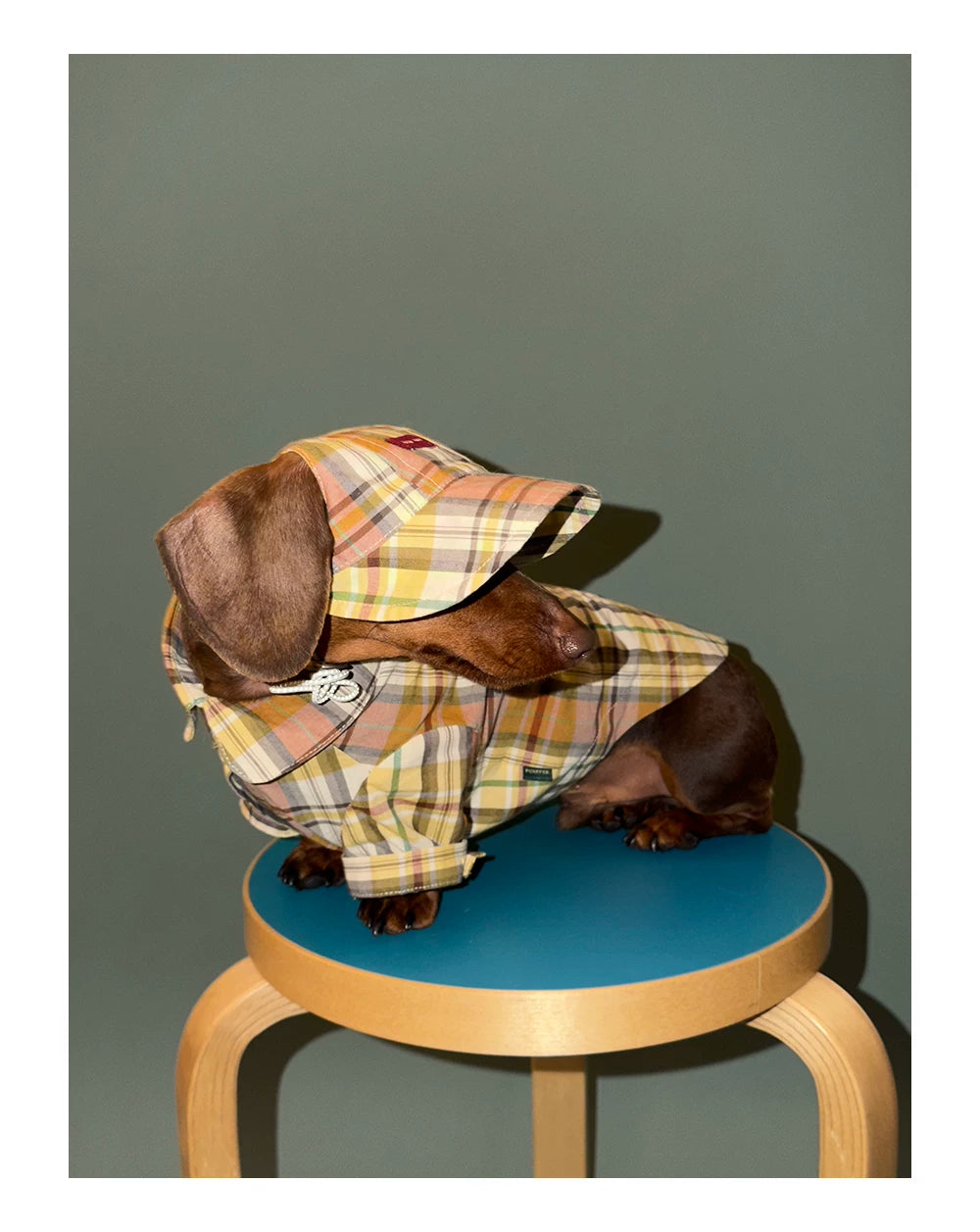 Vintage Plaid Pet Shirt - Yellow