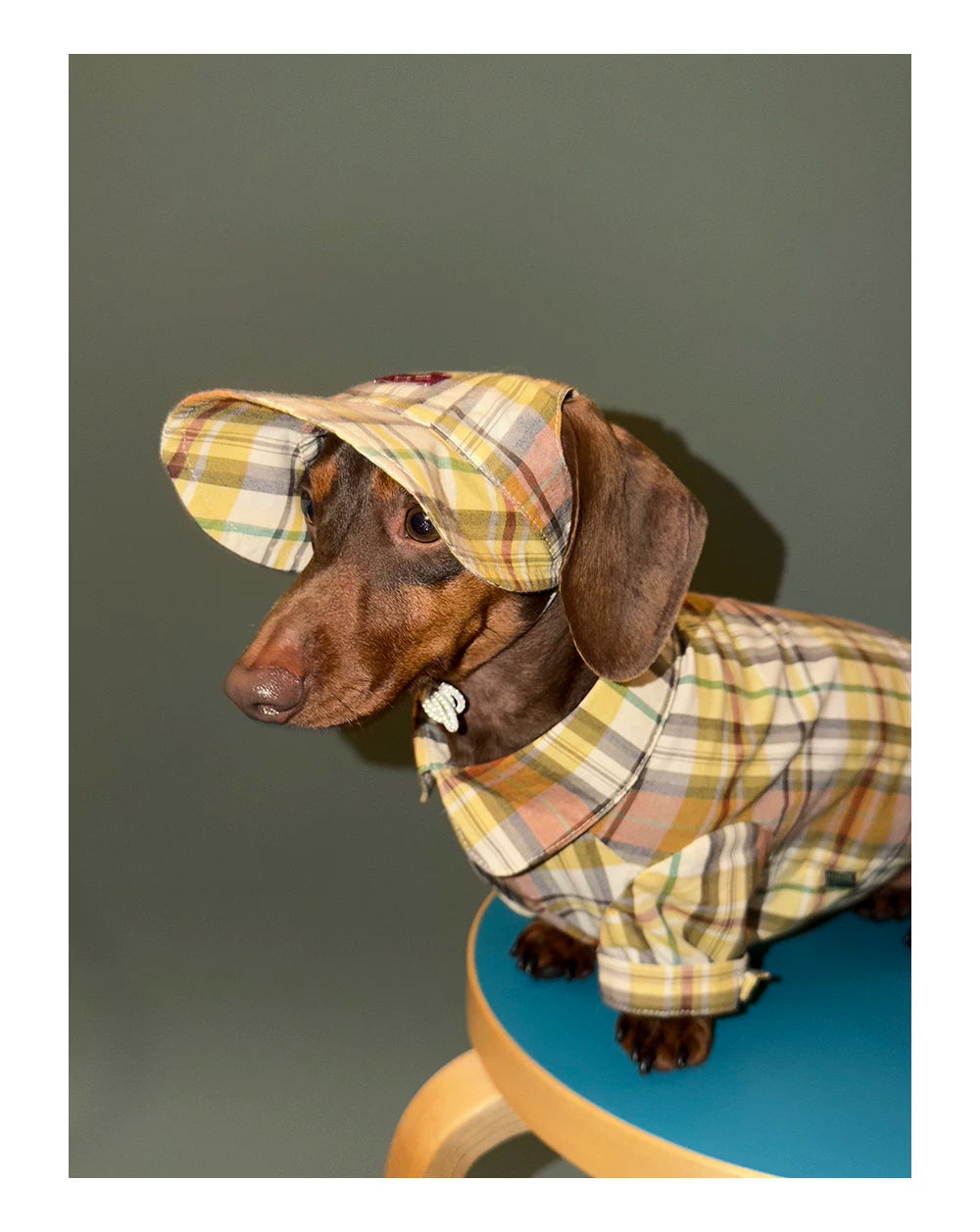Vintage Plaid Pet Hat - Yellow