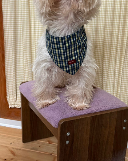 Triangular Pet Bandana