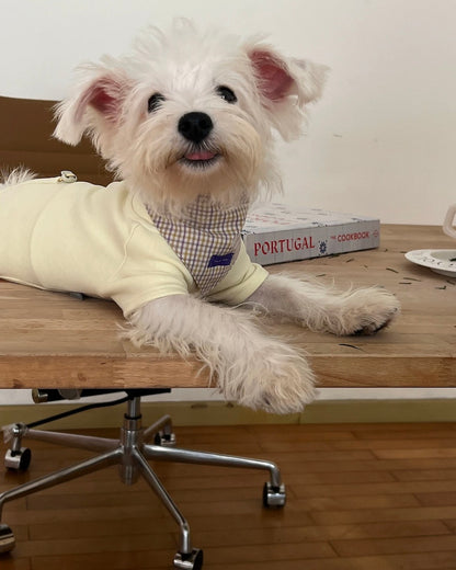 Triangular Pet Bandana