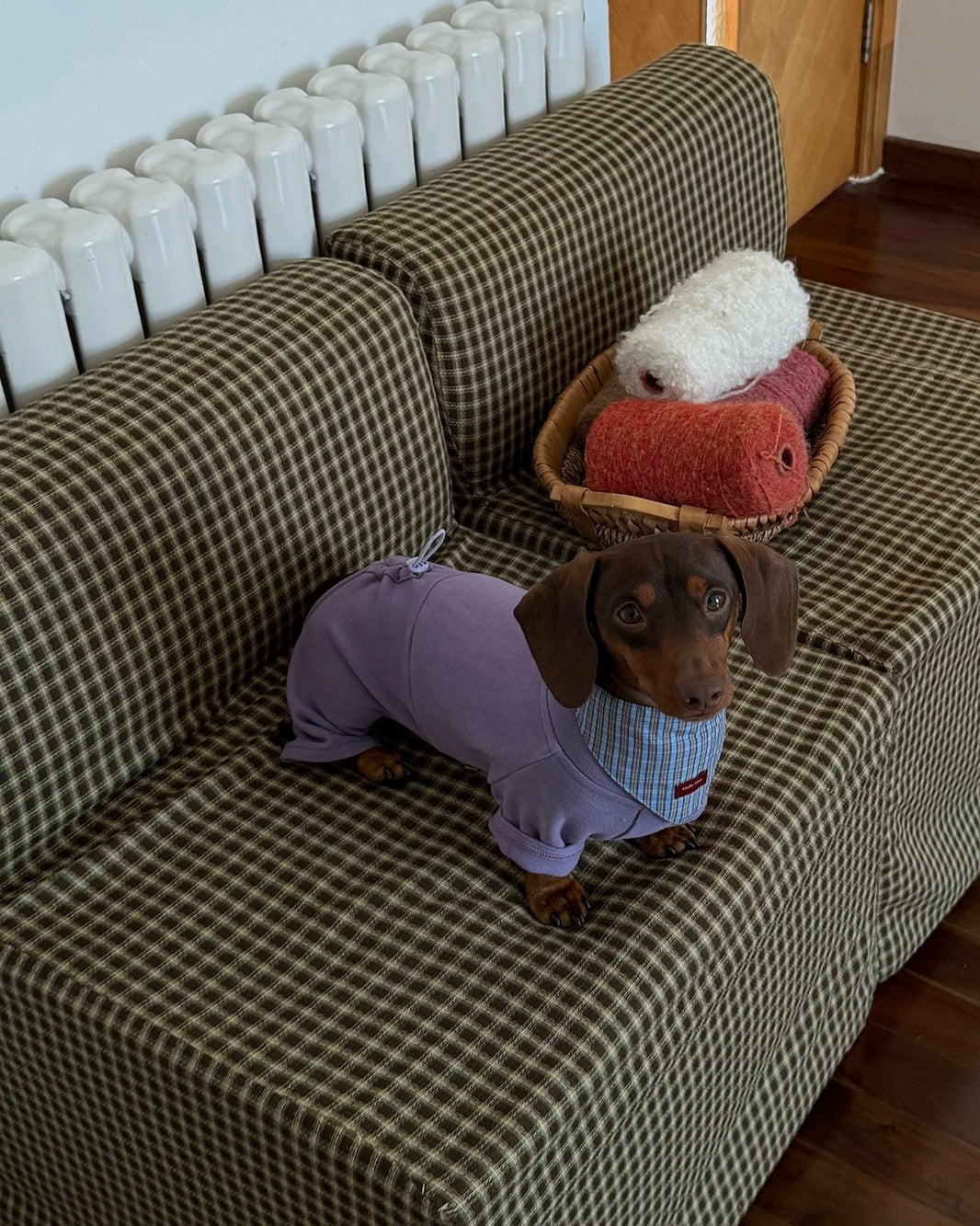 Triangular Pet Bandana