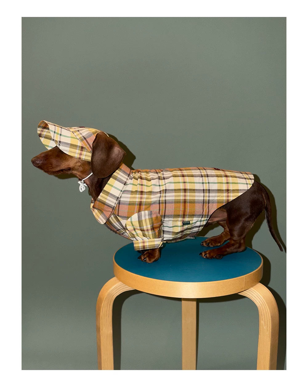 Vintage Plaid Pet Shirt - Yellow