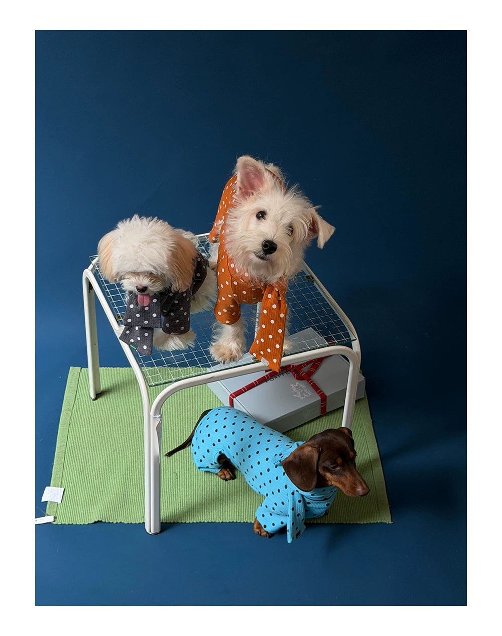 Polka Dot Pet Jumpsuit