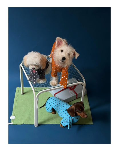 Polka Dot Pet Scarf