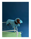 Polka Dot Pet Jumpsuit