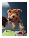 Polka Dot Pet Scarf