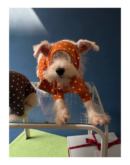 Polka Dot Pet Scarf