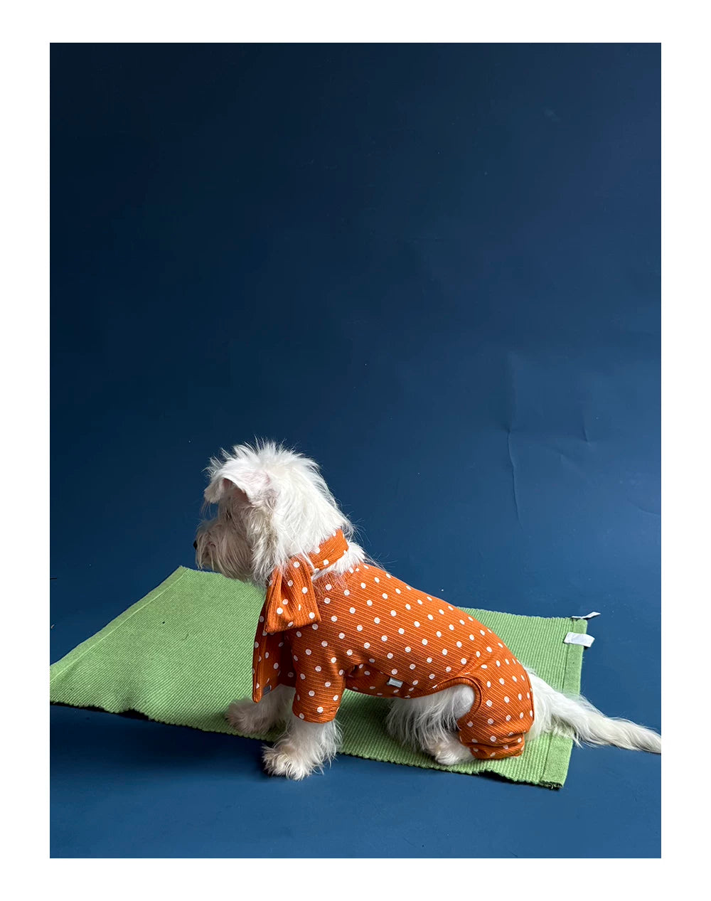 Polka Dot Pet Jumpsuit