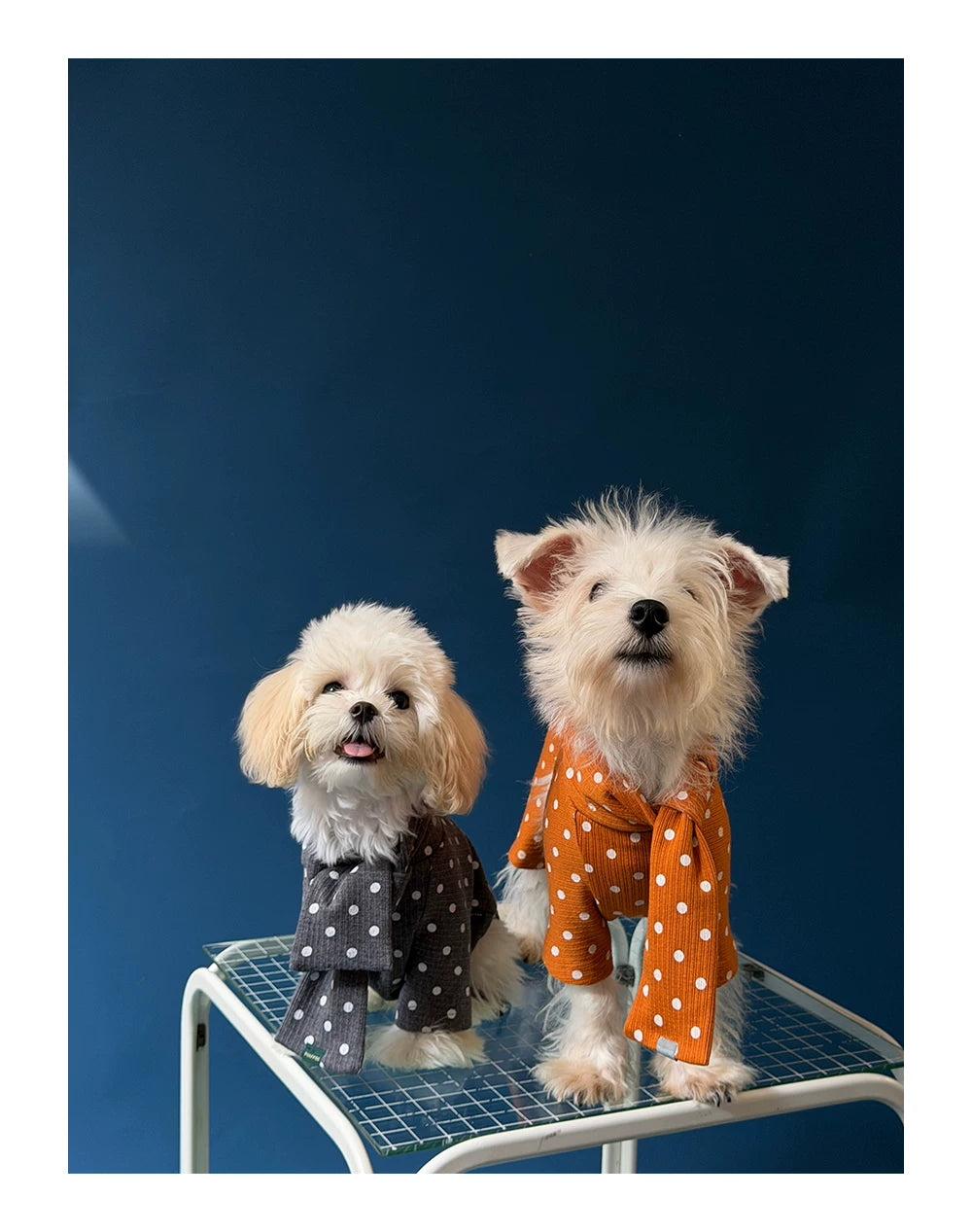 Polka Dot Pet Jumpsuit