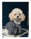 Polka Dot Pet Scarf