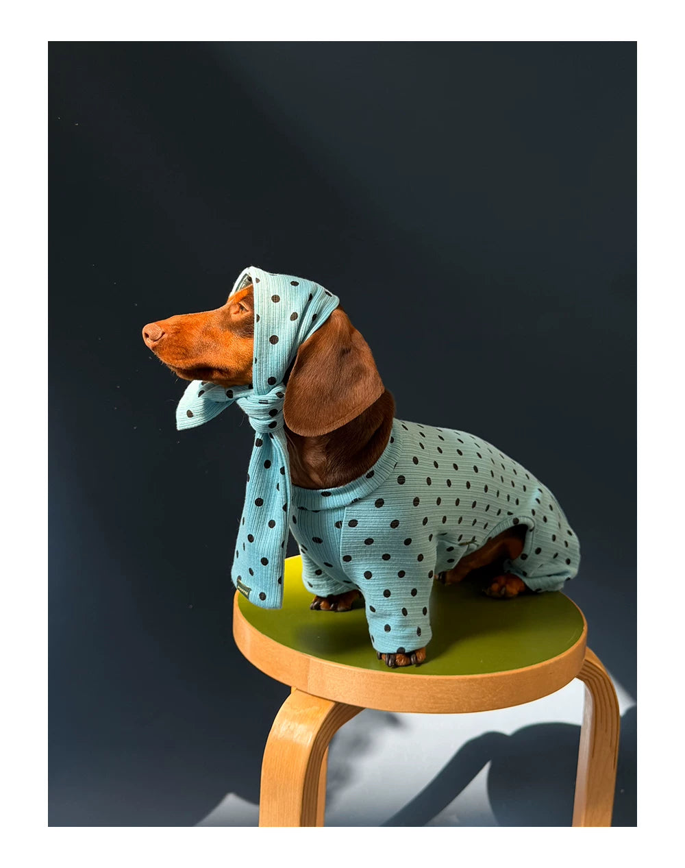 Polka Dot Pet Scarf