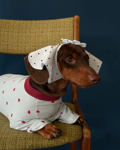 Heart Print Pet pajama