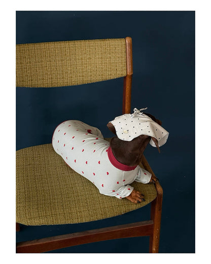 Heart Print Pet pajama