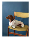 Heart Print Pet pajama