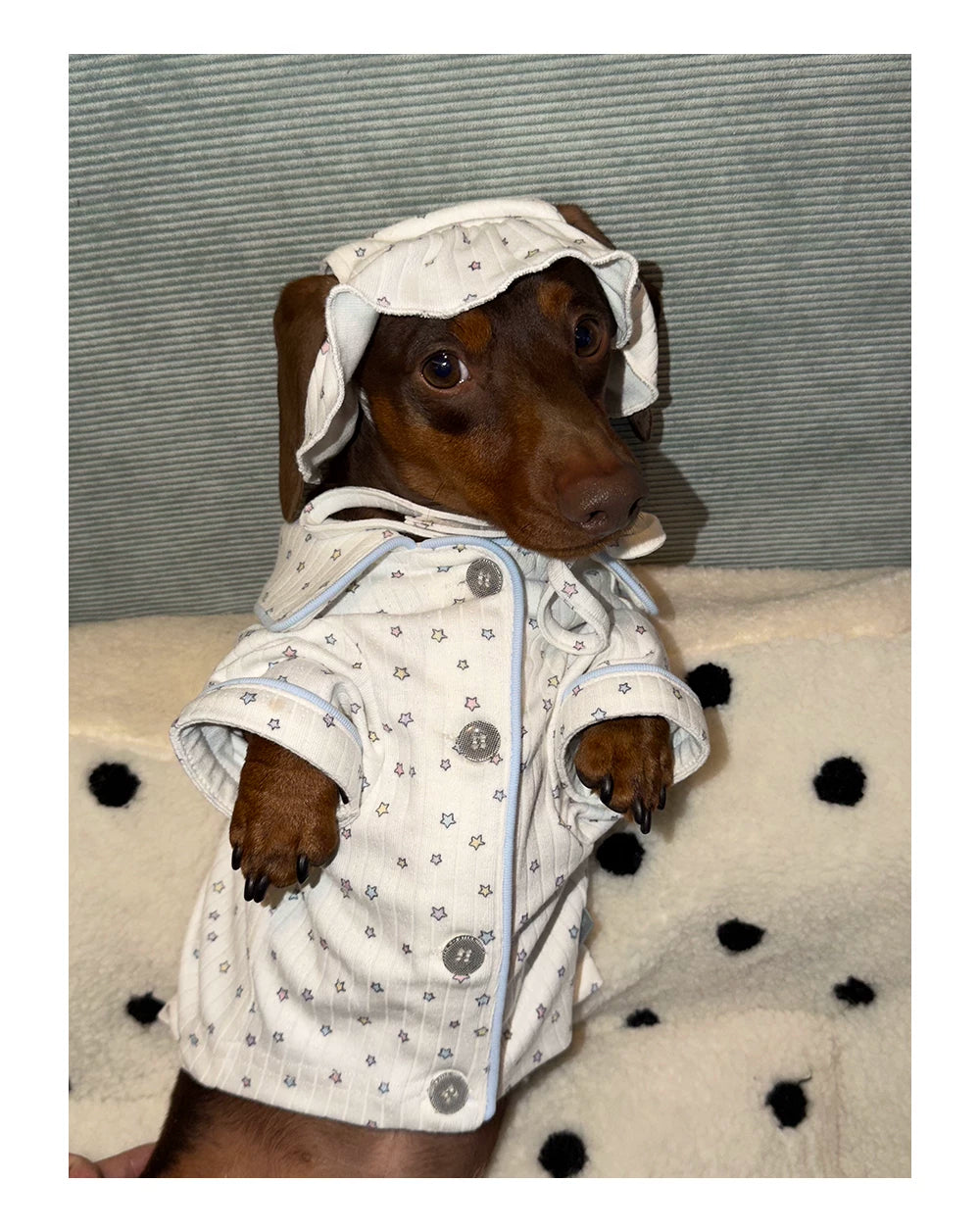 Star Print Pet pajama