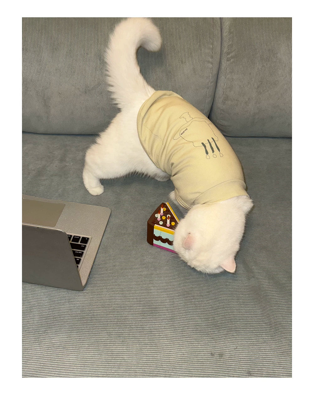 Cooling Pet Tank Top