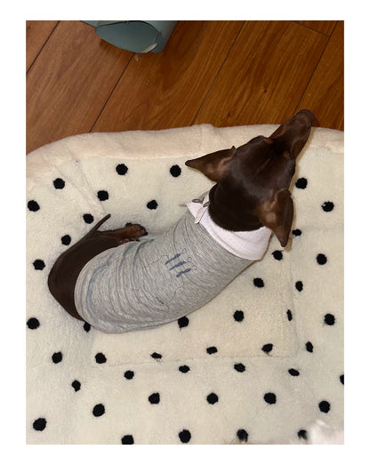Cooling Pet Tank Top