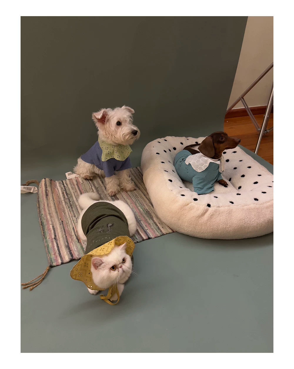 Cute Printed Pet T-Shirt