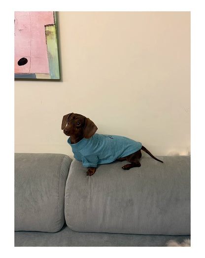 Cute Printed Pet T-Shirt