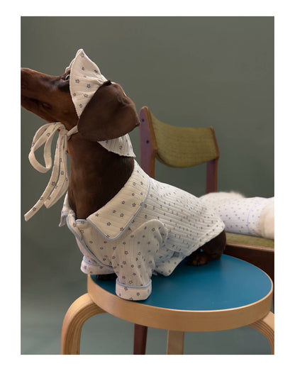 Star Print Pet Hat