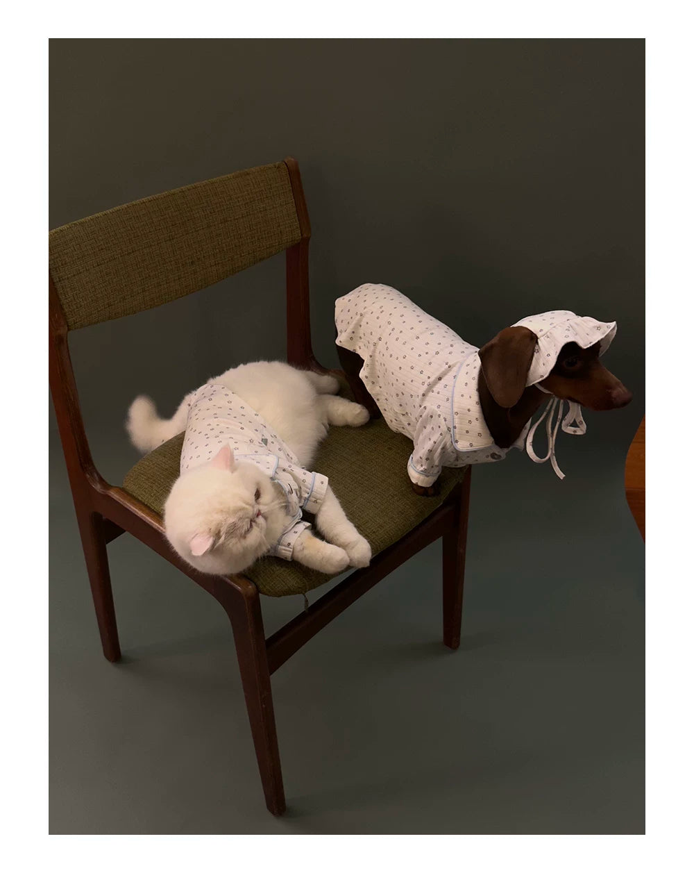 Star Print Pet pajama