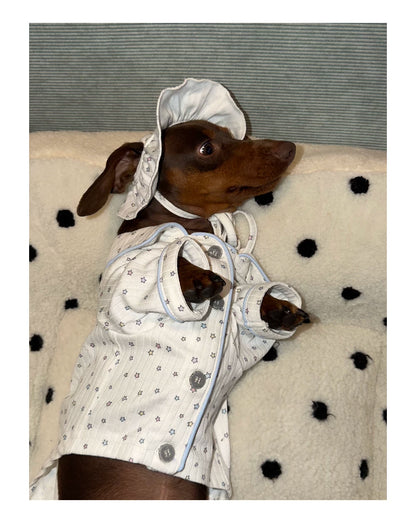 Star Print Pet Hat