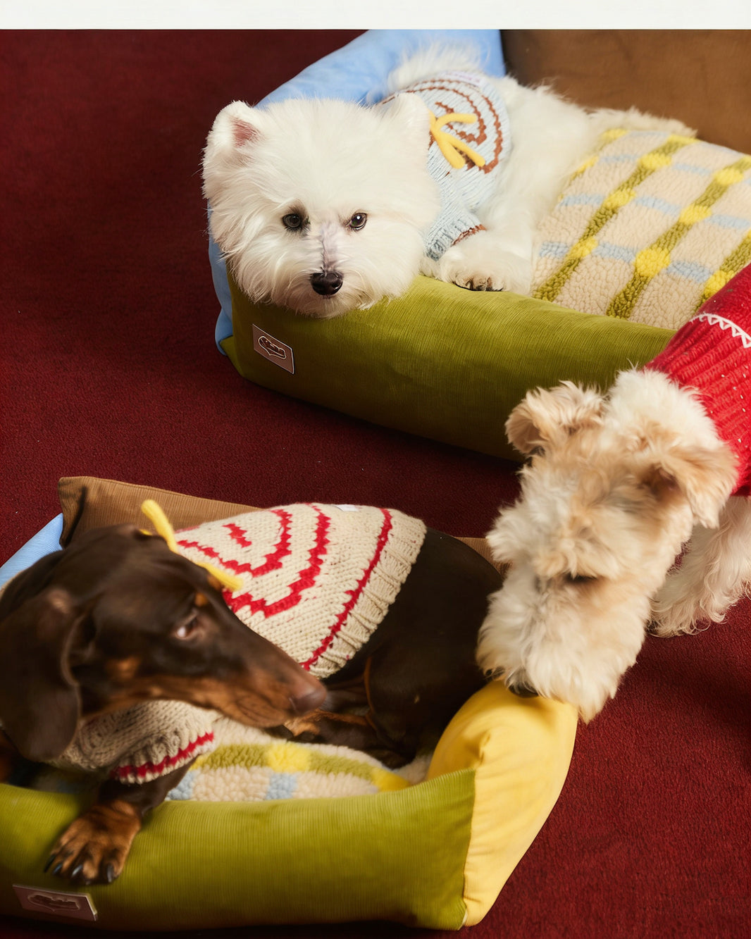 Bolster Pet Bed