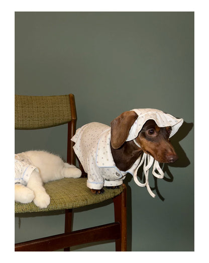 Star Print Pet Hat