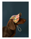 Vintage Plaid Pet Hat
