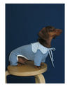 Four-Legged Cotton Pet Shirt