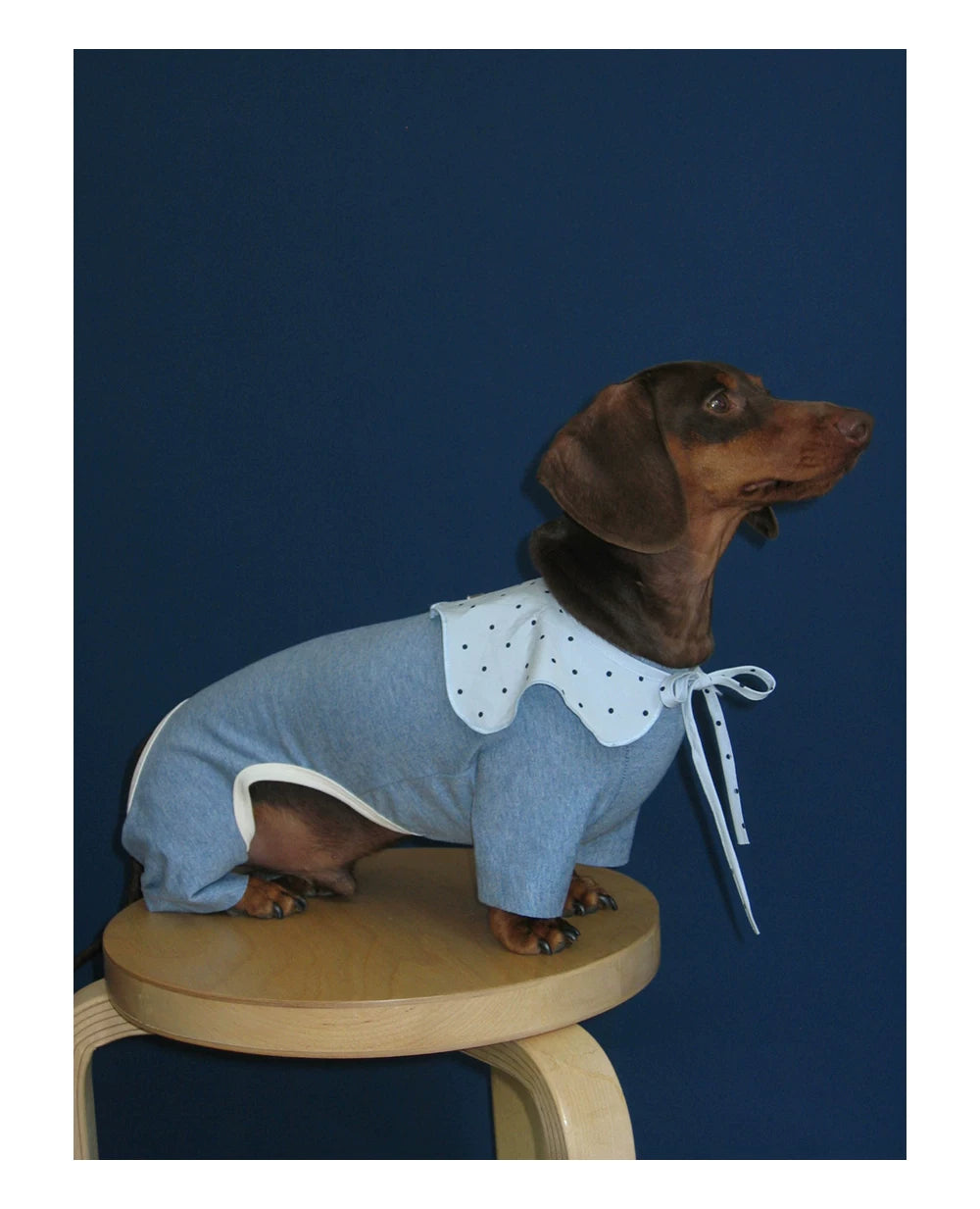 Four-Legged Cotton Pet Shirt