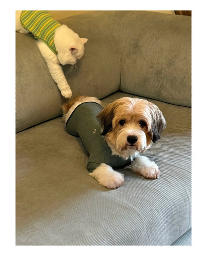 Four-Legged Cotton Pet Shirt