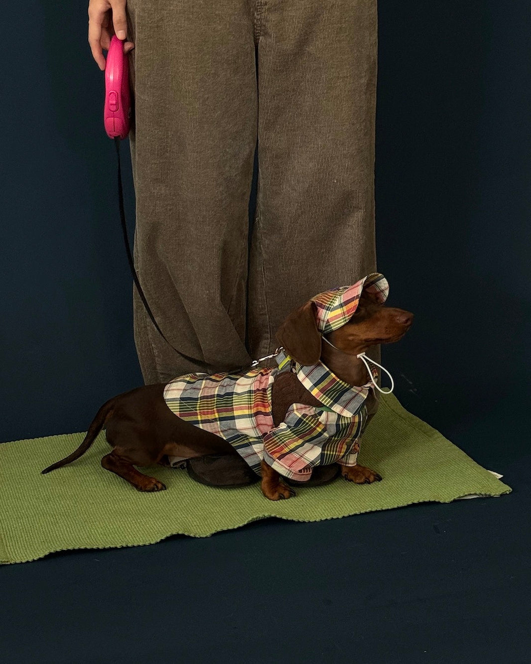 Vintage Plaid Pet Shirt
