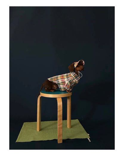 Vintage Plaid Pet Hat