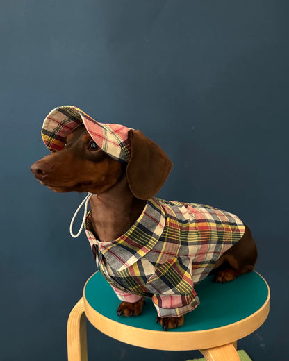 Vintage Plaid Pet Hat